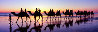 Beach Camel Train Silhouette