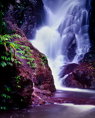 Elabana Falls Cascades, Queensland