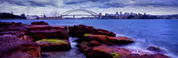 Sydney Harbour from Botanical Gardens