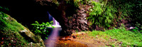 Natural Bridge Falls and Stream