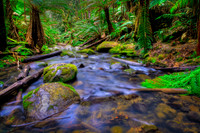 Beauchamp Falls Creek