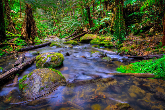 Beauchamp Falls Creek