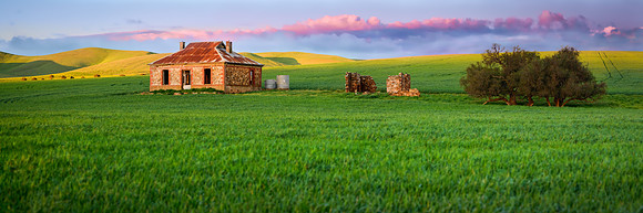 Field of Dreams