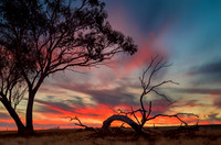 Wheatbelt Summer Sunset