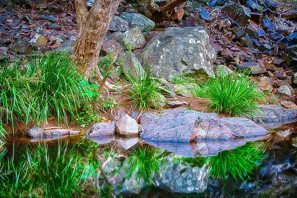 Cedar Creek Water's Edge