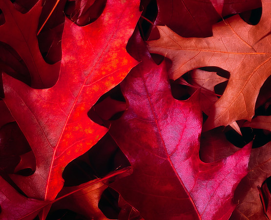Soft Fall
