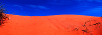 Desert Regions
