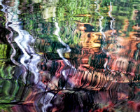 Fern Pool Reflections