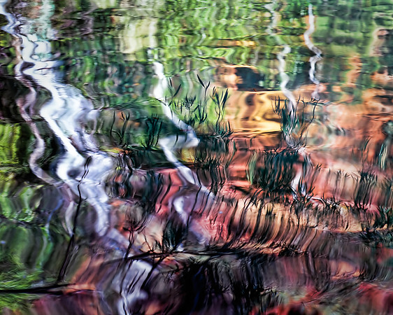 Fern Pool Reflections