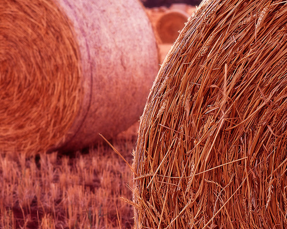 Three Hay Bales