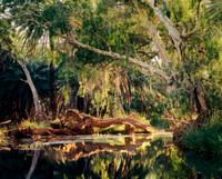 Millstream Ethereal Light