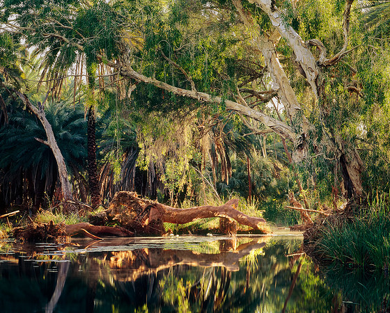 Millstream Ethereal Light