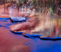 Gorge Stream detail