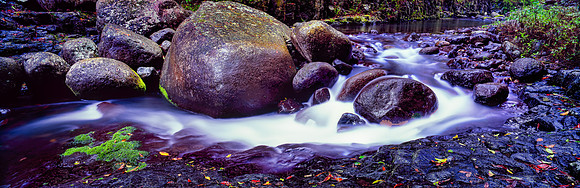 Rainforest Rocky Stream