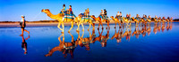 Beach Camel Ride
