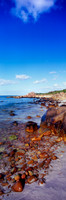 Over Castle Rock Beach