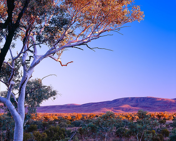 Desert Ranges