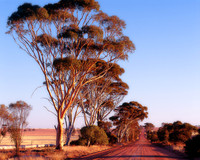 Old Farm Road, Cunderdin
