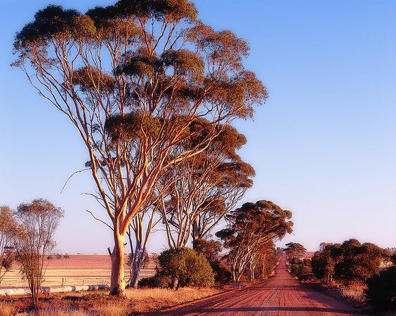 Old Farm Road, Cunderdin