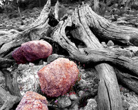 Rocks and Roots, Mundaring