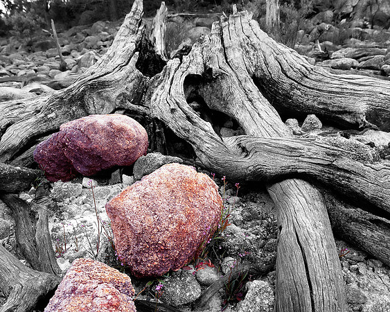 Rocks and Roots, Mundaring