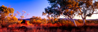 Day's End, Karijini