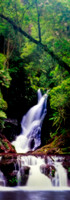 Elabana Falls Pool Panorama